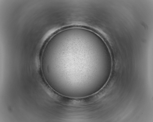 X0000112081271200908111447