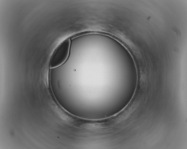 X0000112081272200908111447