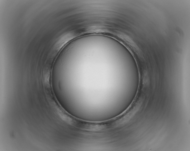 X0000112081273200908111447