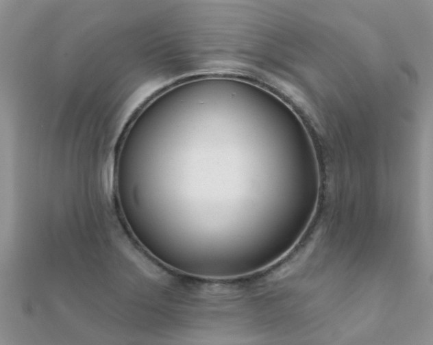 X0000112081275200908111447