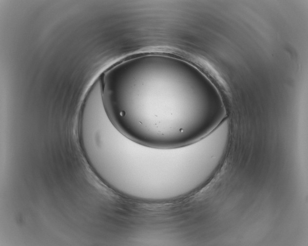X0000112081276200908111447