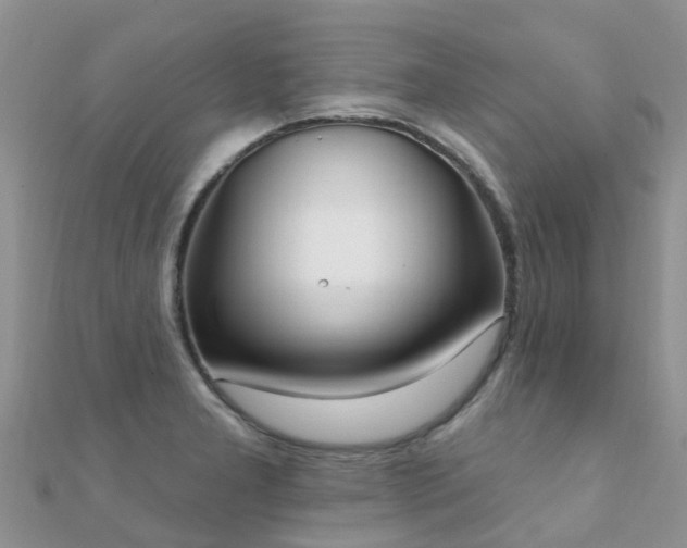 X0000112081277200908111447