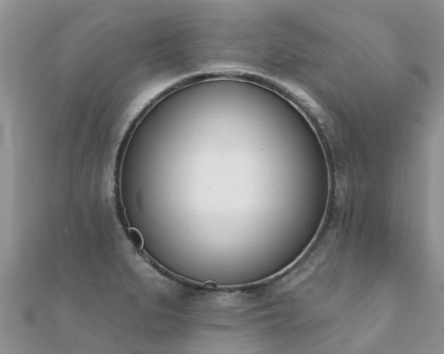 X0000112081279200908111447