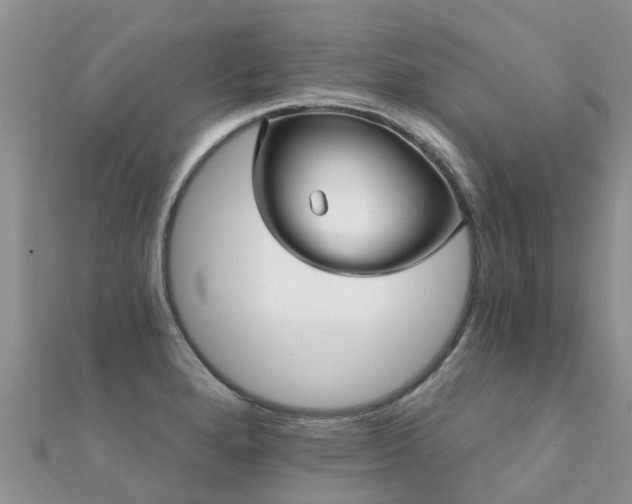 X0000112081280200908111447