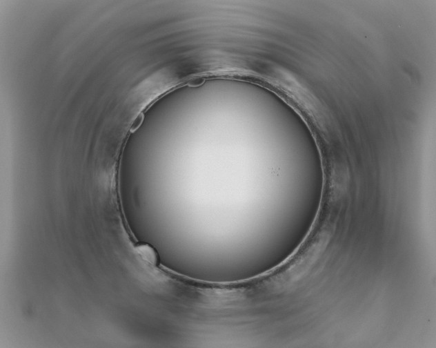X0000112081281200908111447