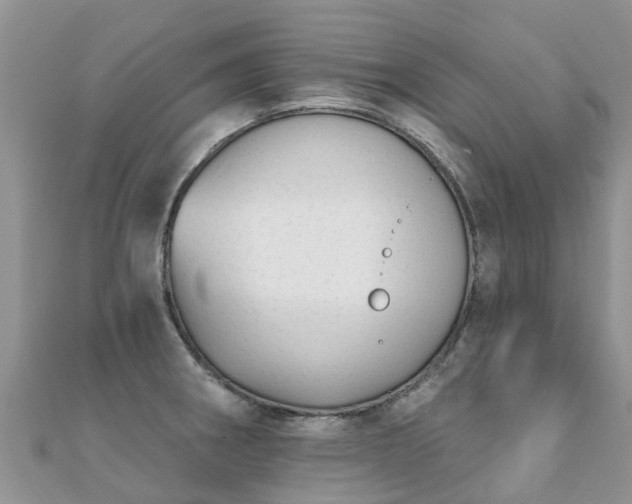 X0000112081282200908111447