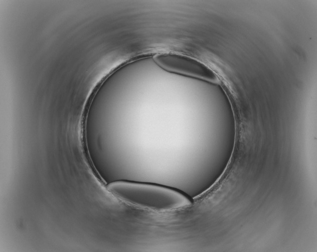 X0000112081285200908111447