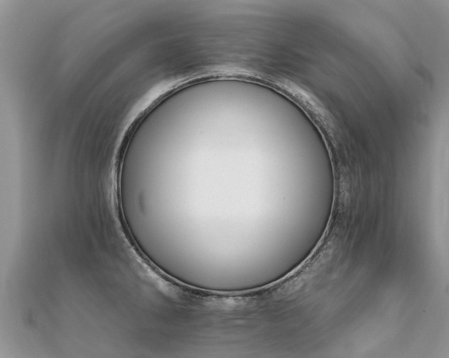 X0000112081286200908111447