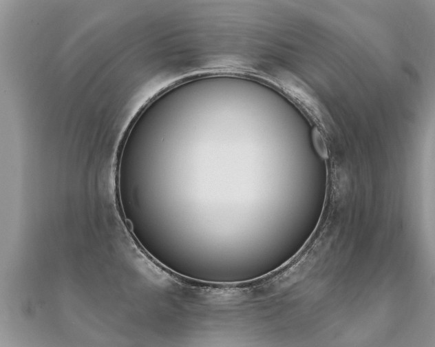 X0000112081288200908111447
