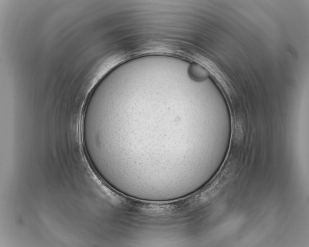 X0000112081290200908111447