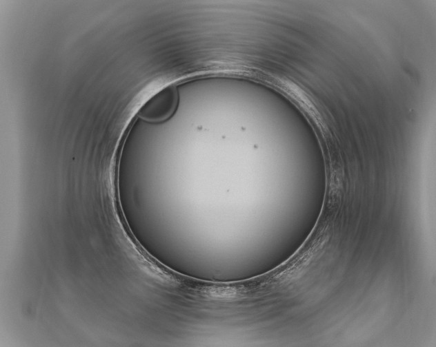 X0000112081291200908111447