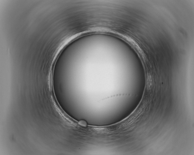 X0000112081295200908111447