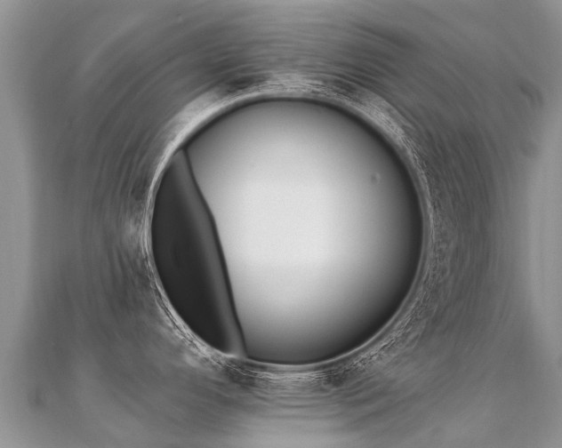 X0000112081296200908111447