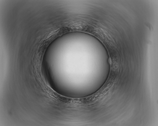 X0000112081297200908111446