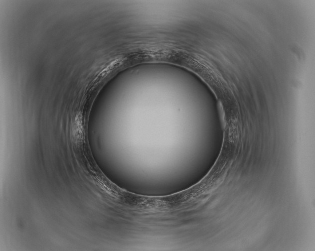 X0000112081298200908111446