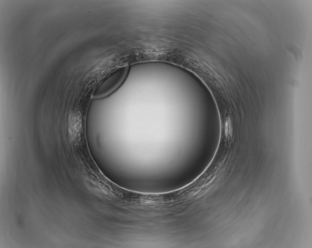 X0000112081299200908111446