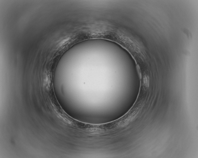 X0000112081300200908111446