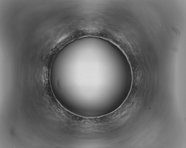 X0000112081301200908111446