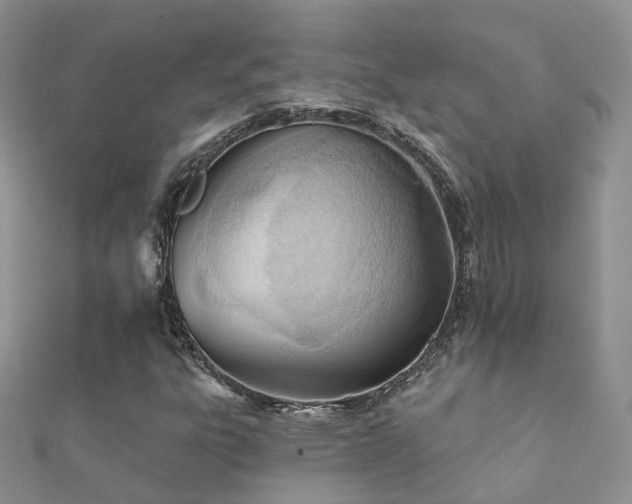 X0000112081303200908111446