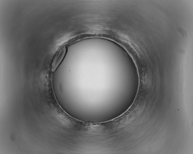 X0000112081304200908111446