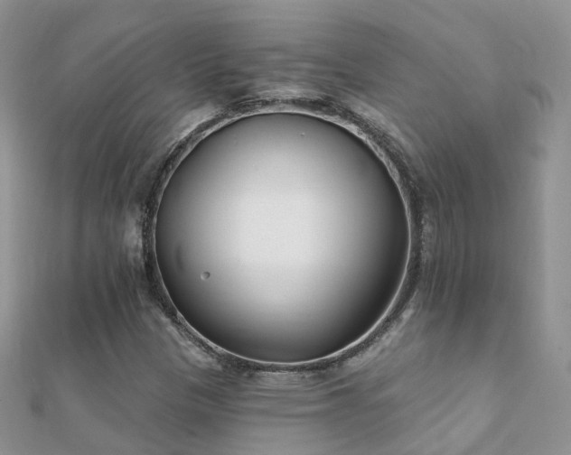 X0000112081305200908111446