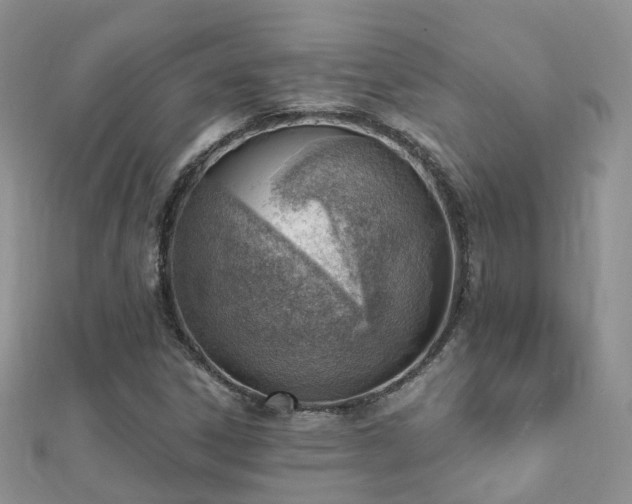 X0000112081306200908111446