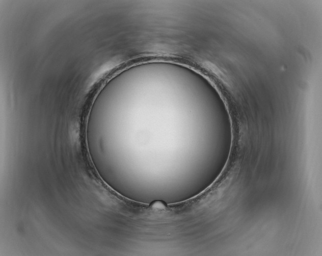 X0000112081307200908111446