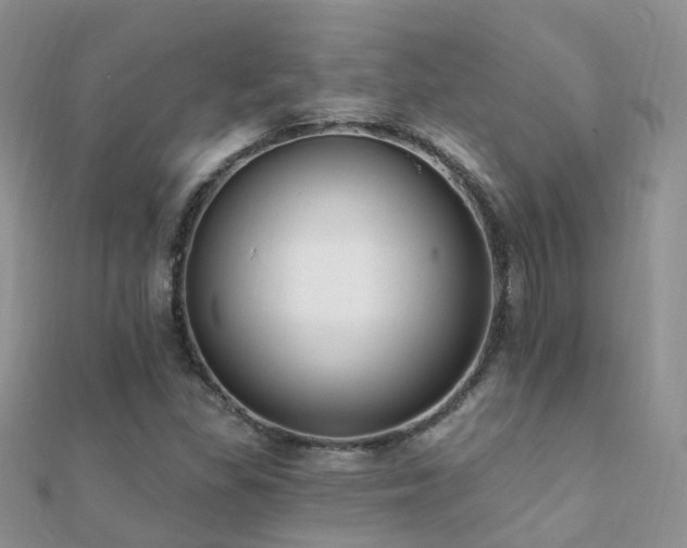 X0000112081309200908111446