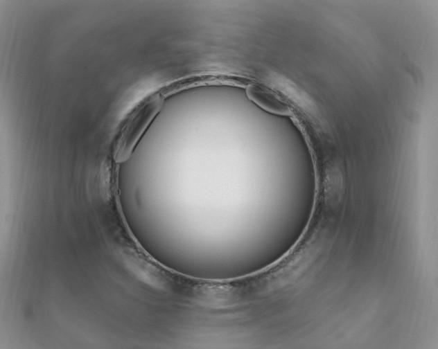X0000112081310200908111446