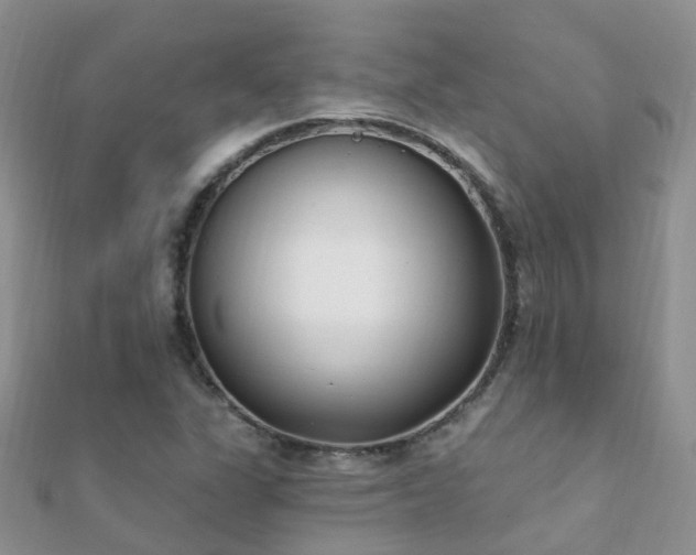 X0000112081311200908111446