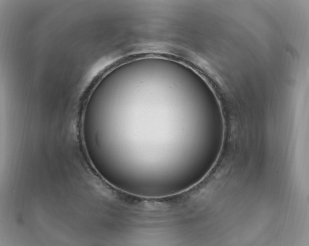 X0000112081312200908111446
