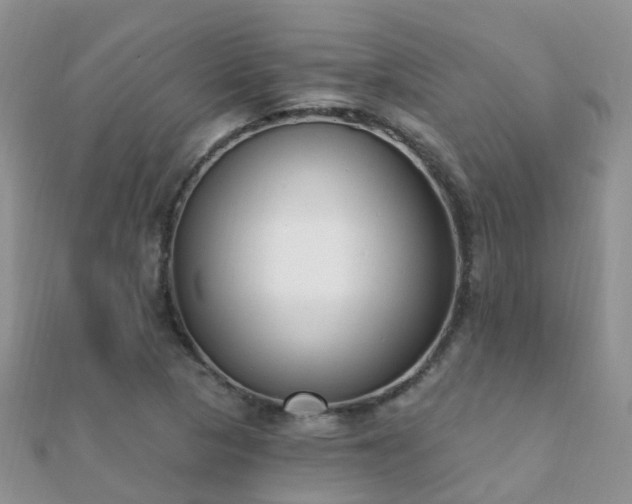 X0000112081313200908111446