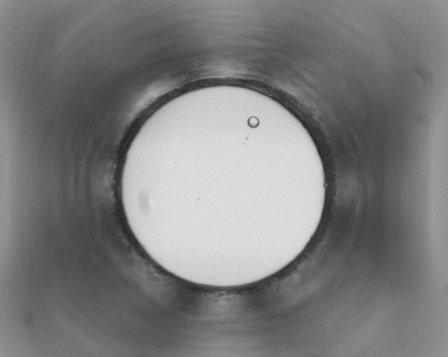 X0000112081314200908111446