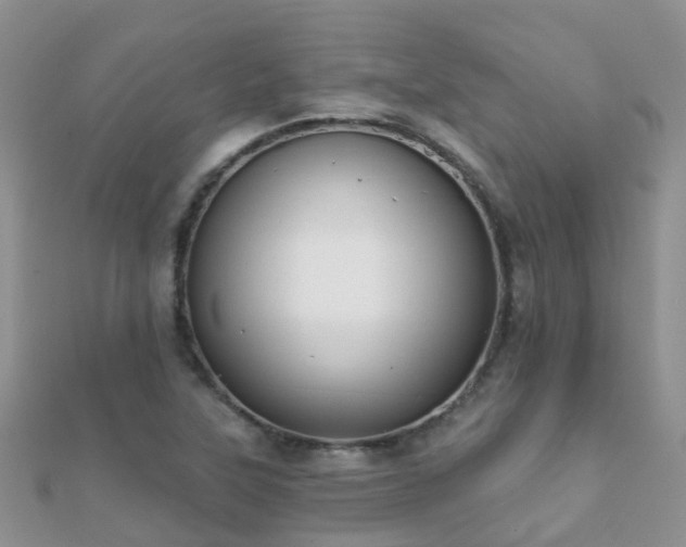 X0000112081315200908111446