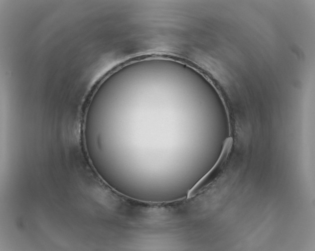 X0000112081316200908111446