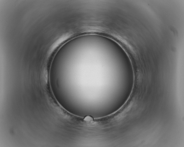 X0000112081317200908111446