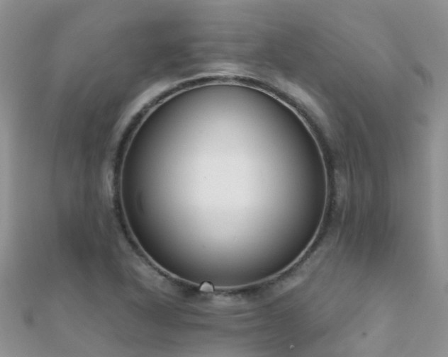 X0000112081318200908111446