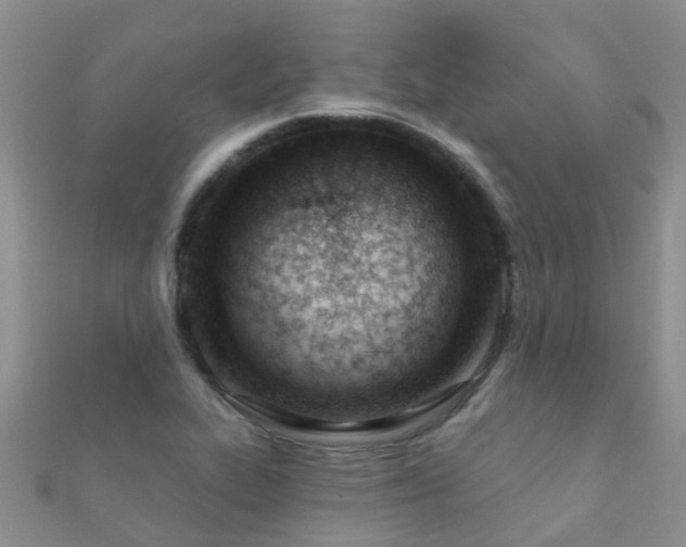 X0000112081319200908111446
