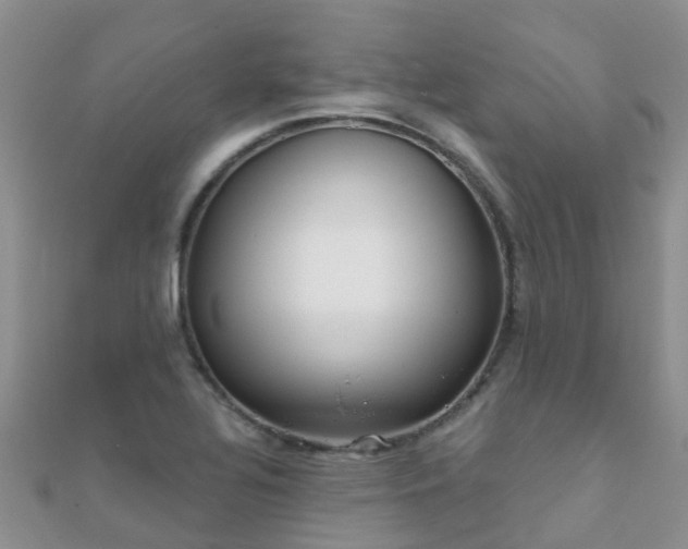 X0000112081320200908111446