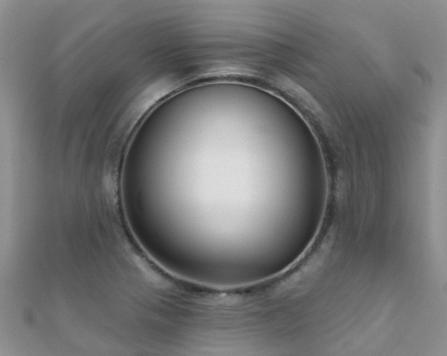 X0000112081321200908111446