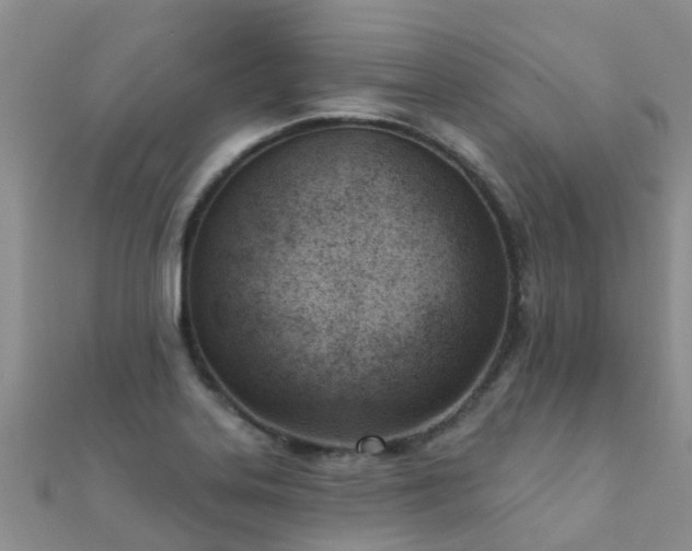 X0000112081323200908111446