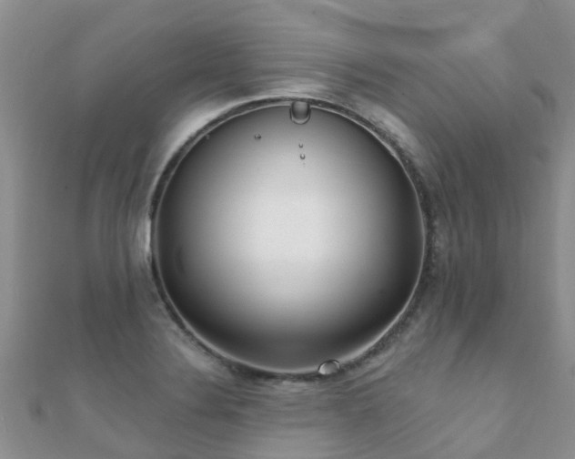 X0000112081324200908111446