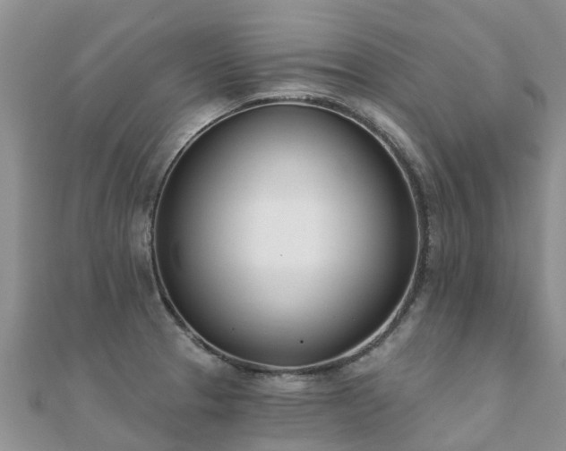 X0000112081329200908111446