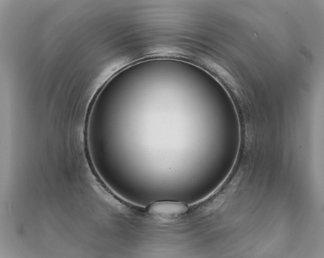 X0000112081330200908111447