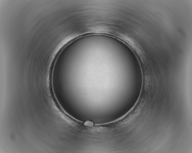 X0000112081331200908111447
