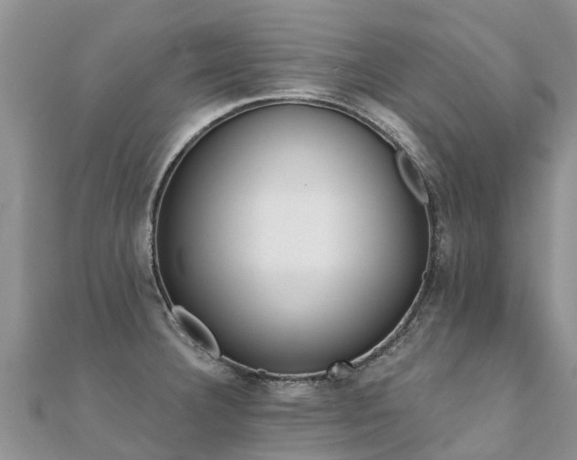 X0000112081332200908111447