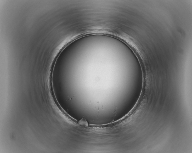 X0000112081333200908111447