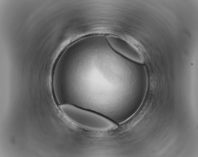 X0000112081334200908111447