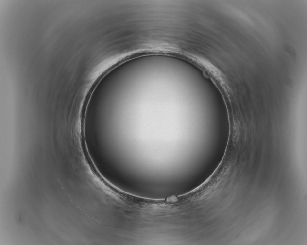 X0000112081335200908111447