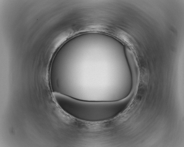 X0000112081336200908111447